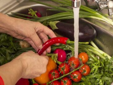 Najlepszy sposób podlewania warzyw: poranna czy wieczorna pielęgnacja? Jak dobrze podlewać sadzonki warzywowe?