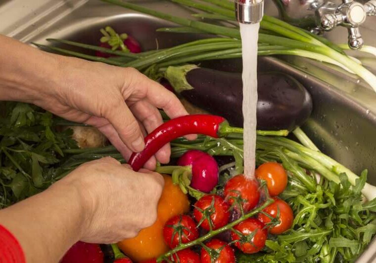 Najlepszy sposób podlewania warzyw: poranna czy wieczorna pielęgnacja? Jak dobrze podlewać sadzonki warzywowe?