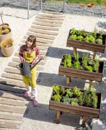 Wykorzystanie roślin do zasłaniania pustych przestrzeni w chodnikach, schodach i murach