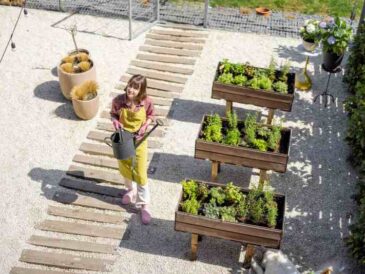Wykorzystanie roślin do zasłaniania pustych przestrzeni w chodnikach, schodach i murach
